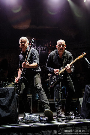The Stranglers