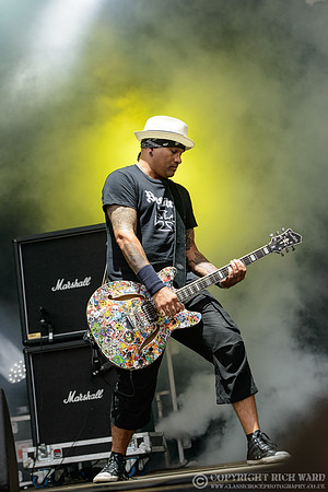 The Wildhearts