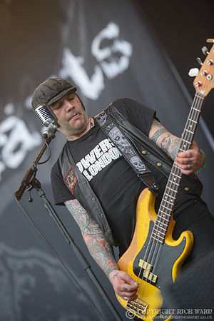 The Wildhearts