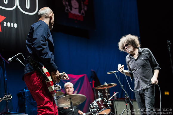 MC50