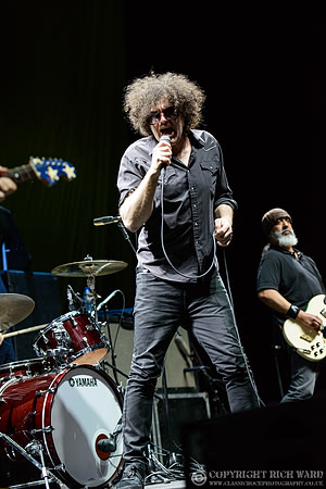 MC50