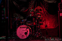 The Last Internationale