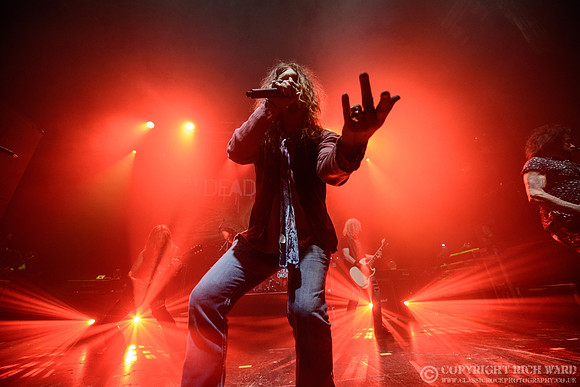 Dead Daisies