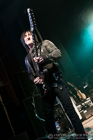 Dead Daisies