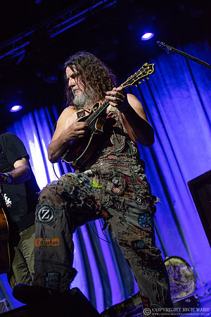 Hayseed Dixie