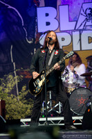 Black Spiders