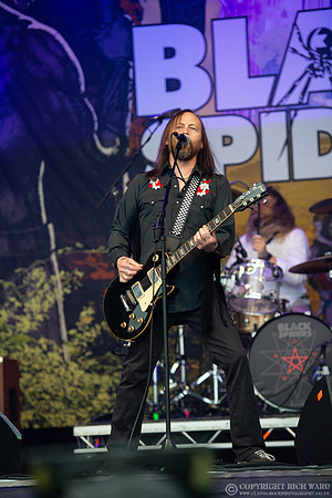 Black Spiders