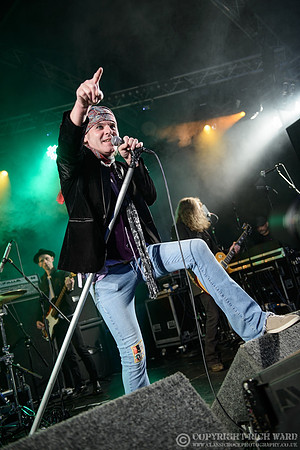 The Quireboys