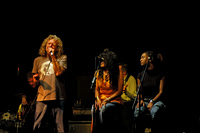 Robert Plant & The Honeydrippers
