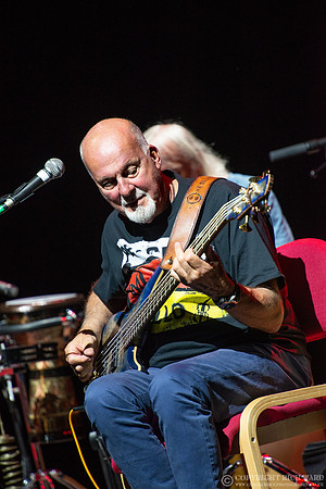 Fairport Convention