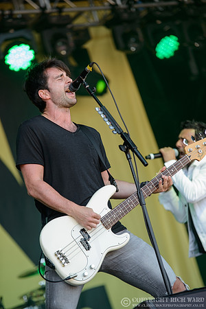 Gun