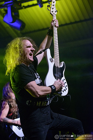 Ellefson
