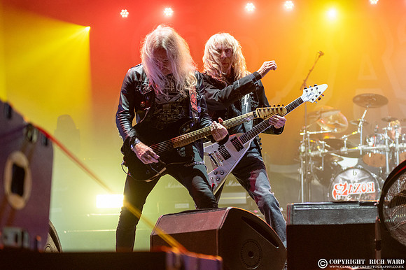 Saxon