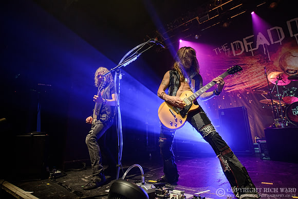 Dead Daisies