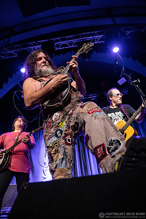 Hayseed Dixie