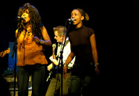 Robert Plant & The Honeydrippers