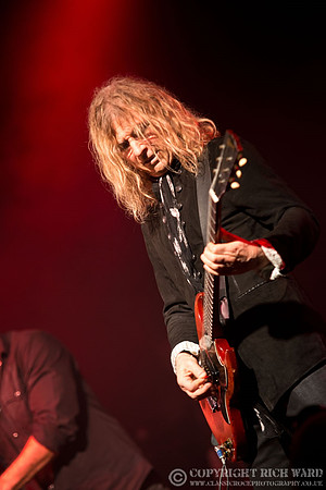 Dead Daisies