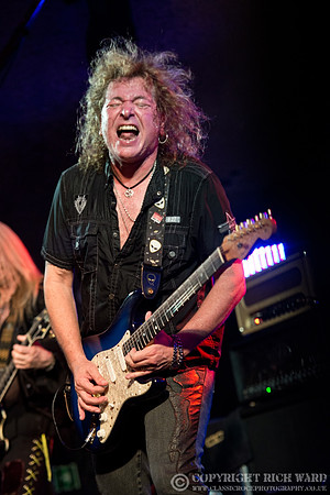 Y&T