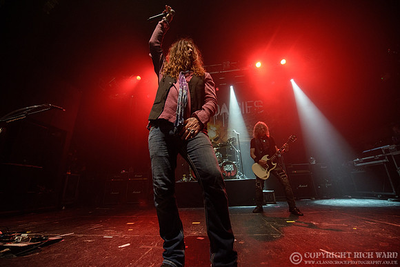 Dead Daisies