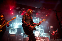 Black Star Riders
