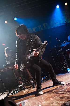Dead Daisies