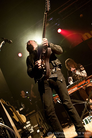 Dead Daisies