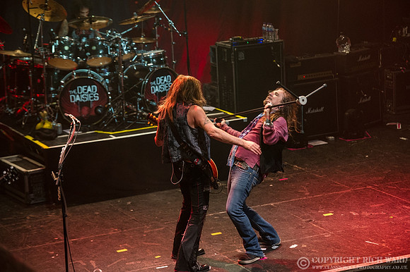 Dead Daisies