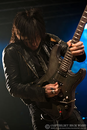 Dead Daisies