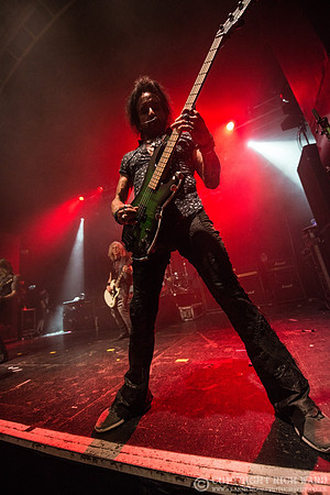 Dead Daisies