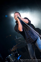 Dead Daisies