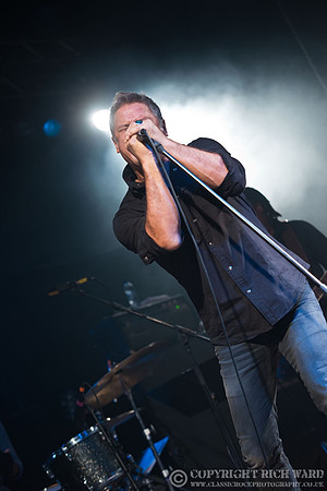 Dead Daisies