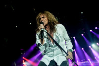 Whitesnake