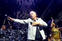 Simple Minds