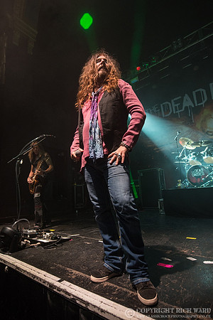 Dead Daisies