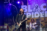 Black Spiders