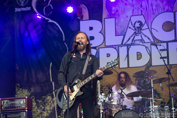 Black Spiders