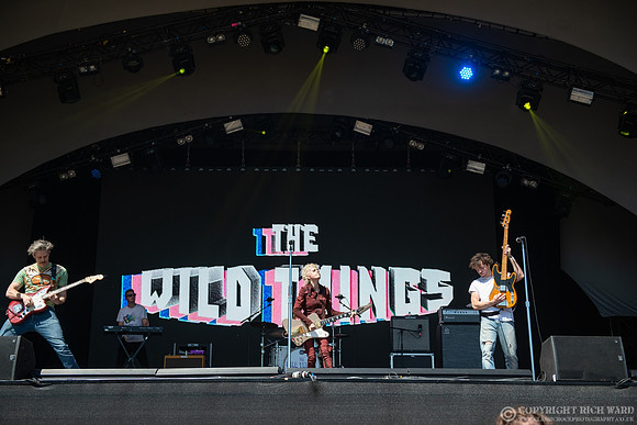 The Wild Things