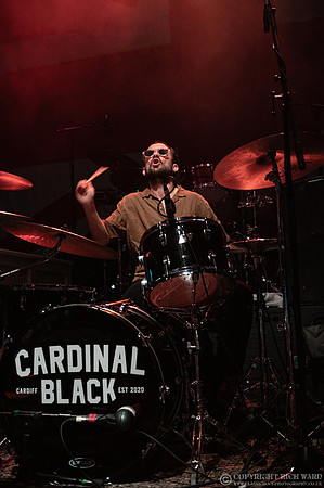 Cardinal Black