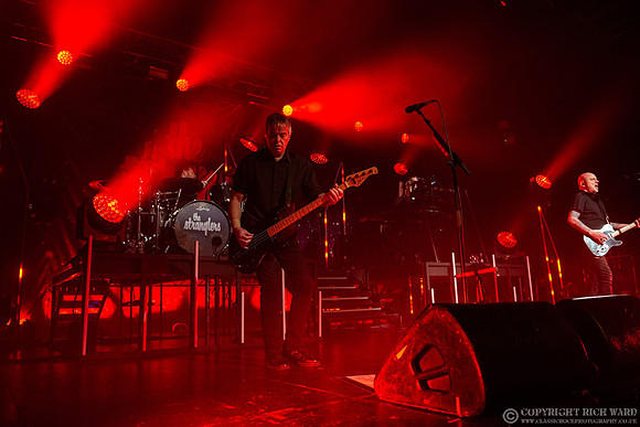 The Stranglers