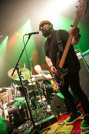 King Herd