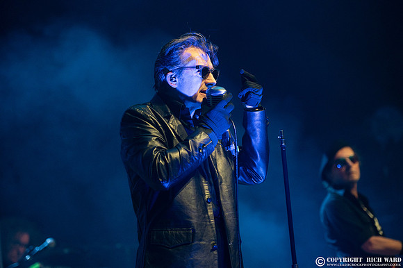 The Damned