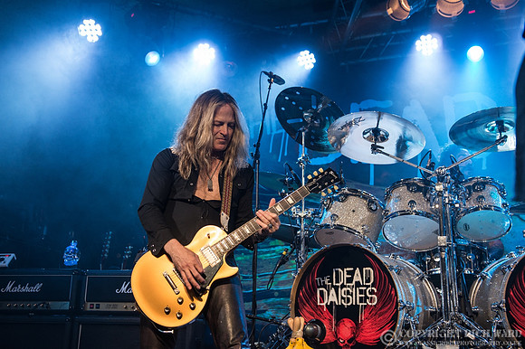Dead Daisies