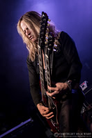 Dead Daisies