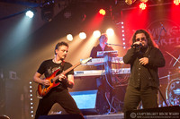 Daylight Robbery - The Robin, Bilston - 24th November 2016