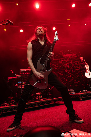 Tarja