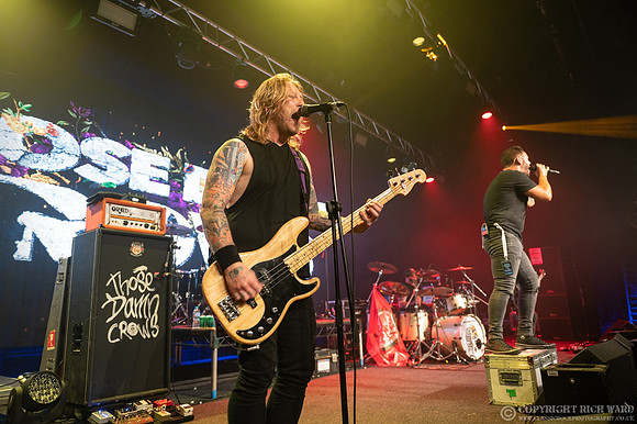 Those Damn Crows