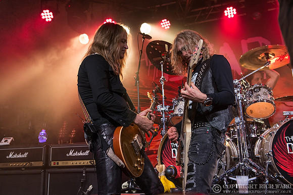 Dead Daisies