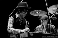 Steve Earle