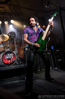 Dead Daisies
