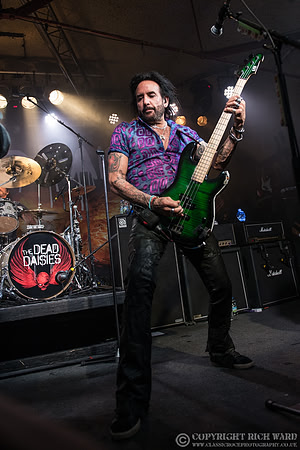 Dead Daisies